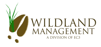 Wildland Management
