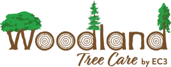 WoodlandTreeCareByEC3_Color